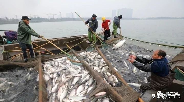 洗脚上岸,洗脚上岸读历史