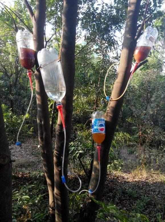 接触奇楠香时的个人感受