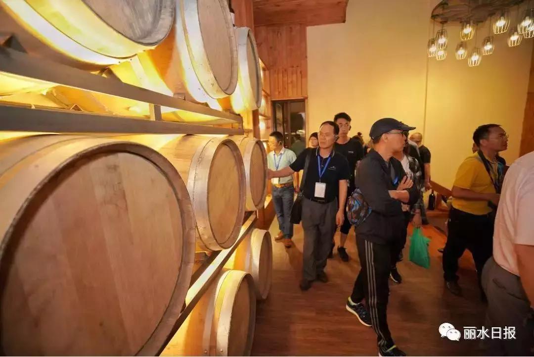 红色新丽水,红色浙西南央视