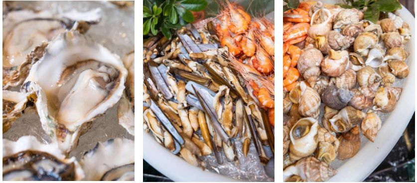 注意:此篇内容可能会引起肉食患者无法自持的症状