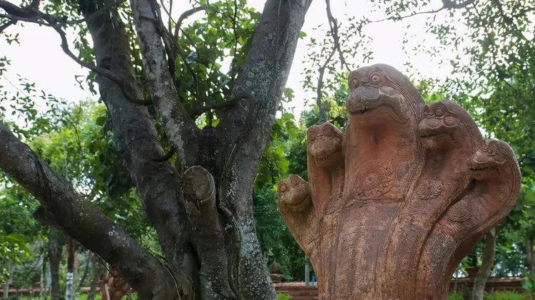 开瓶后窜出咬人的蛇为何蛇在酒中泡这么久不死