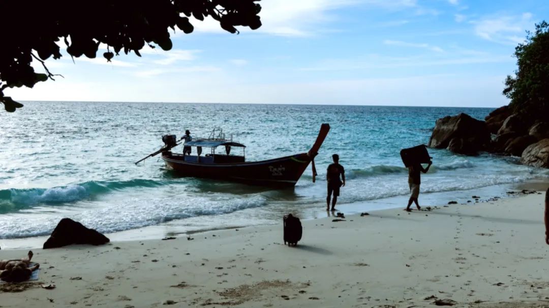 恋恋丽贝岛,人狗情未了|KohLipe
