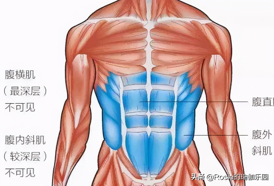 眼馋陈卓璇巴掌腰，竟靠束腰勒小腰？做对一个动作一周瘦出小蛮腰