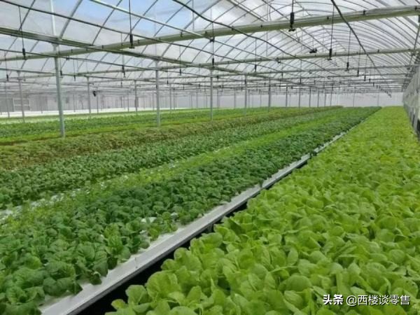 爱马仕口红新产品,爱马仕口红开卖