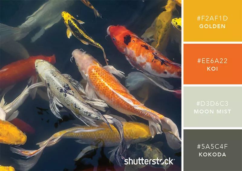 色彩搭配个人形象设计,色彩搭配都是业主亲自选择