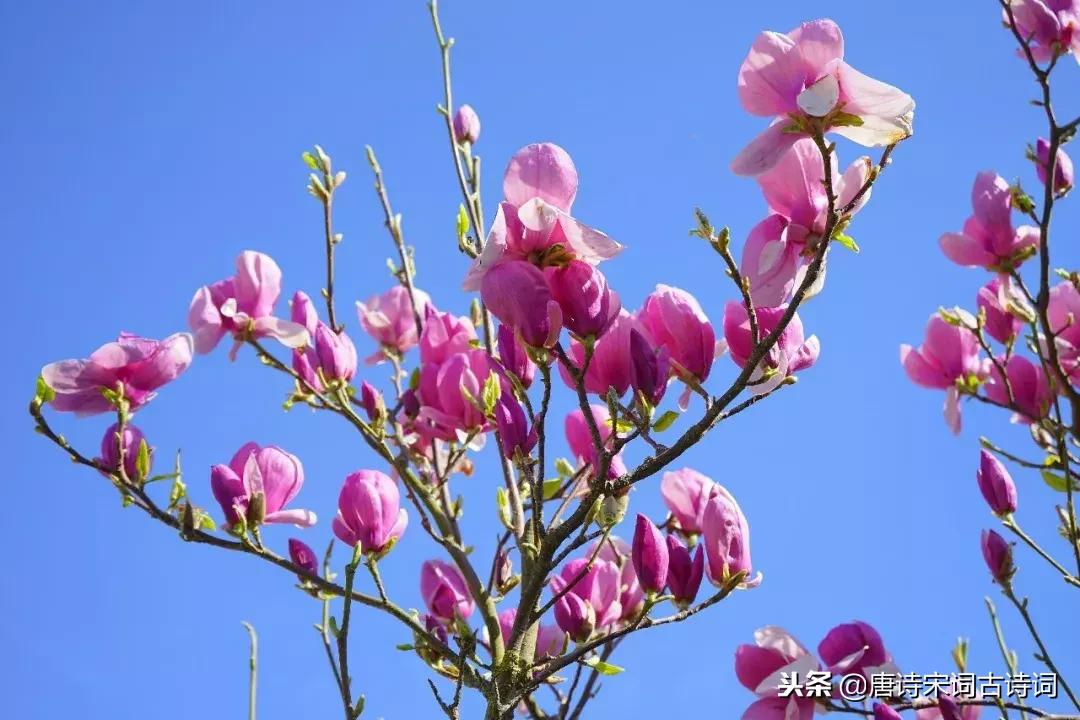 韦庄最美古诗,韦庄十首经典相思