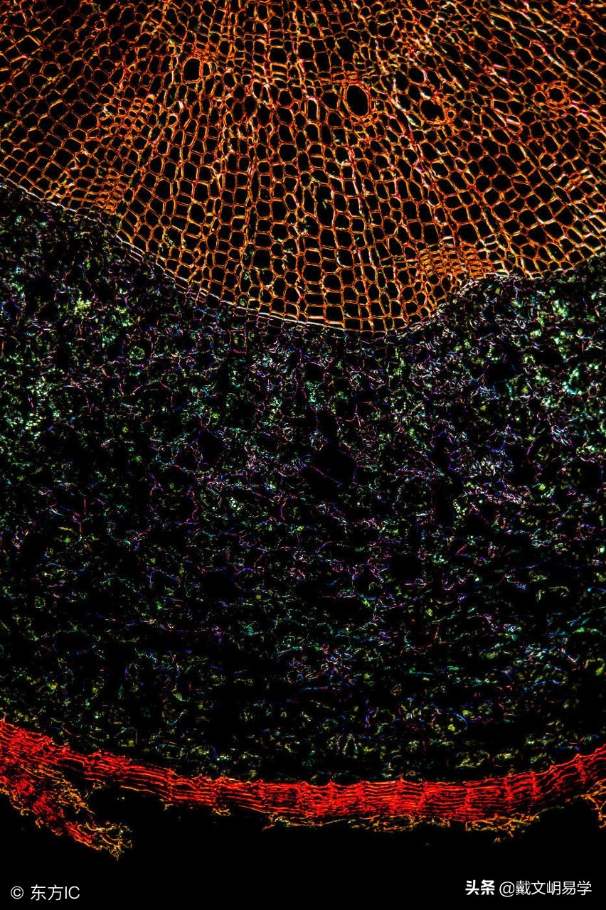 八字墓库代表什么,丑是庚金的墓库还是辛金的墓库