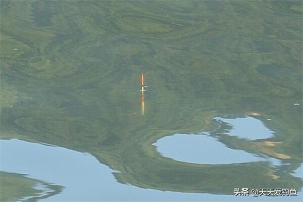 调漂技巧:使用空心软尾浮漂,调漂可以这样调,上鱼快,中鱼率高