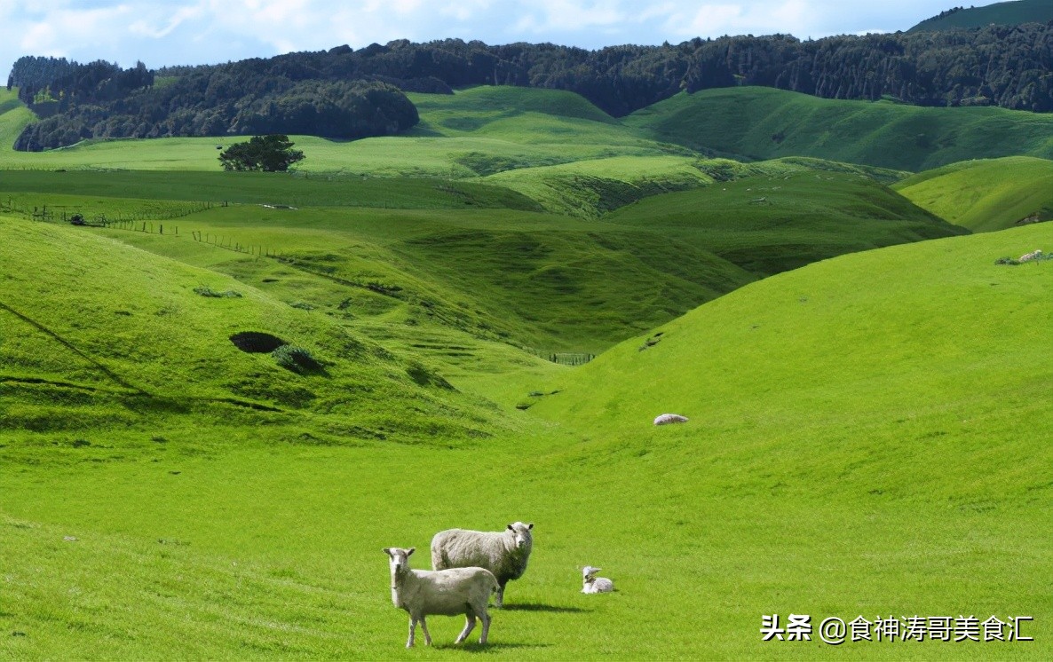 新西兰本地人平时吃什么,新西兰生活吃什么