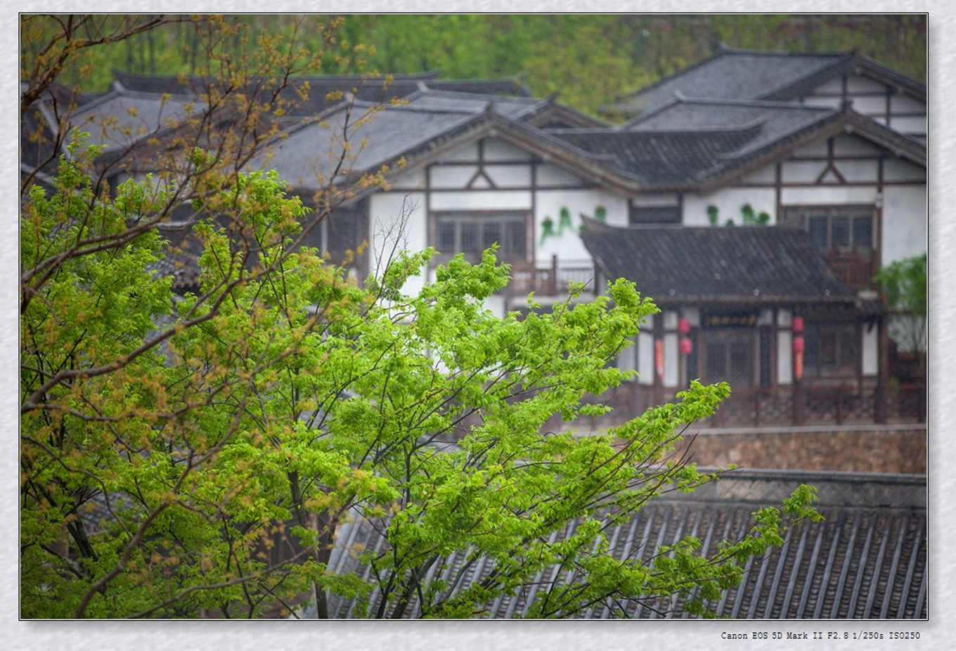 常州旅游东方盐湖城,骆驼之旅视频