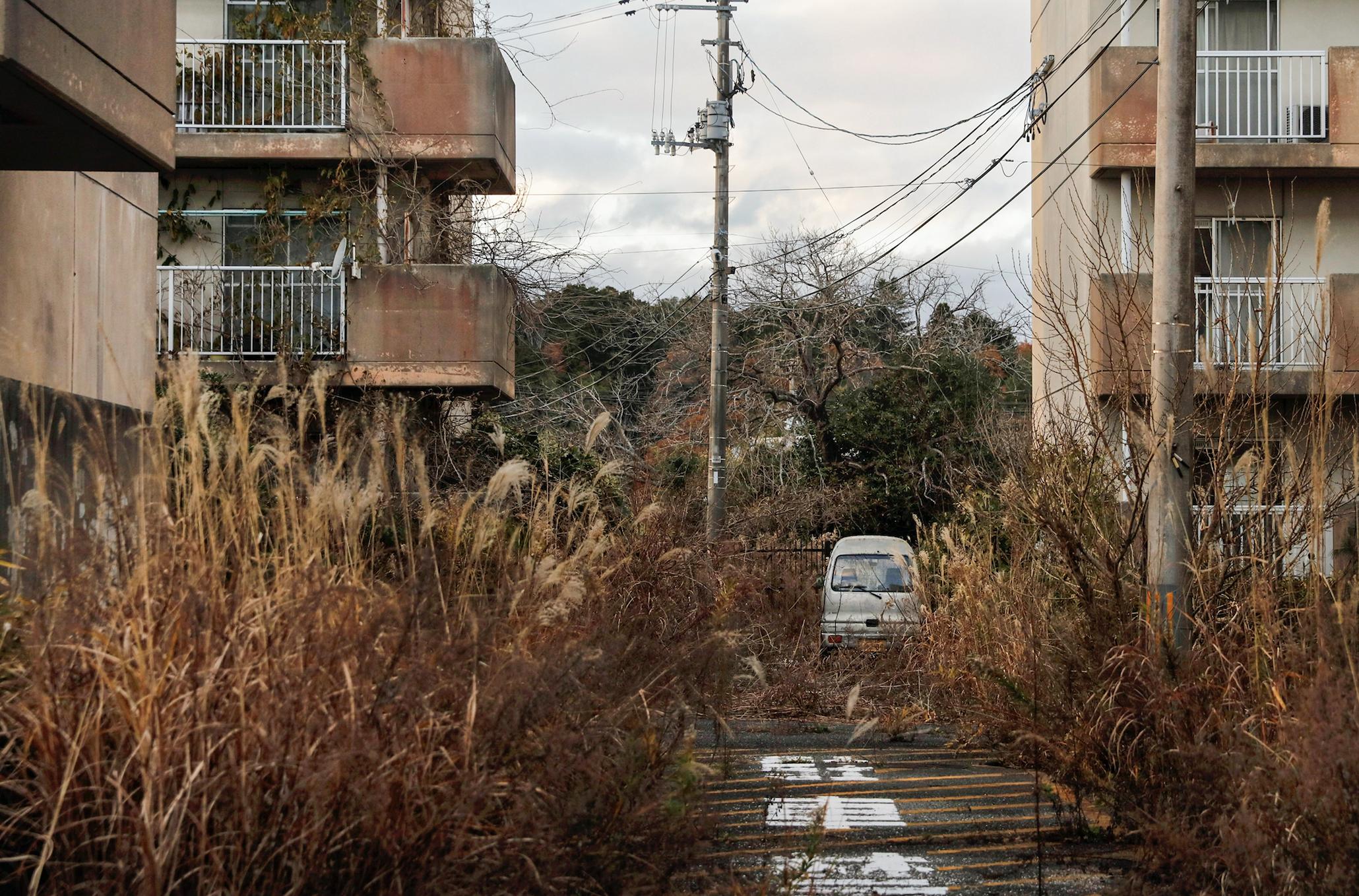 日本福岛核事故造成多少损失,日本应对福岛核事故