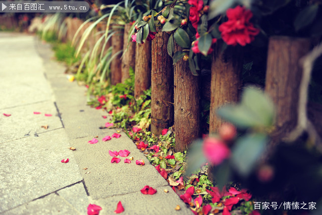 人生如戏怎样演戏,人生如演戏自己也能演