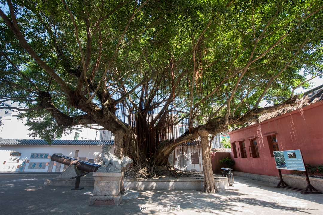 广东有几个海岛镇,广东唯一一个海岛县