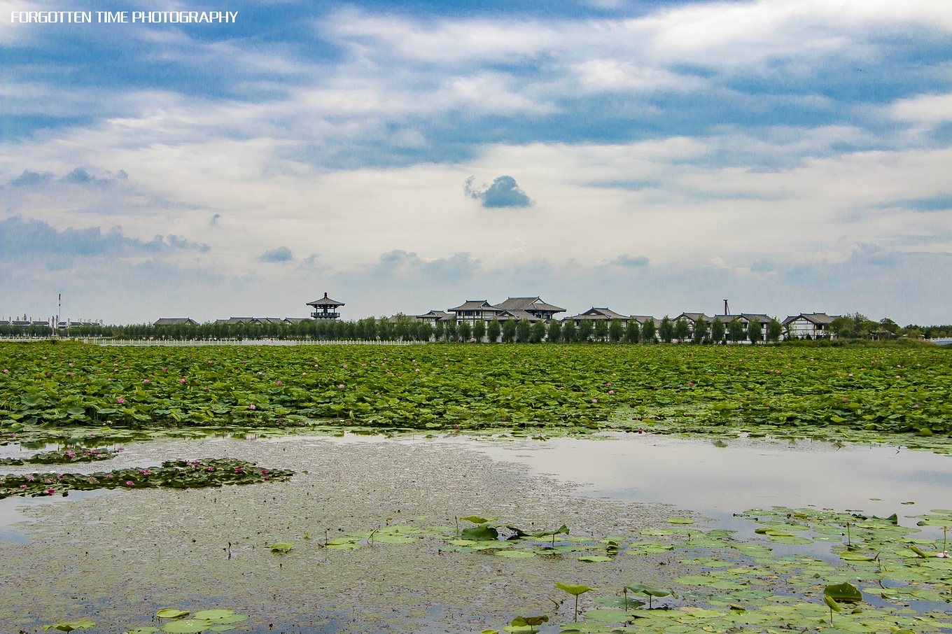 呼兰河口湿地有什么好玩的吗,哈尔滨呼兰河湿地美景