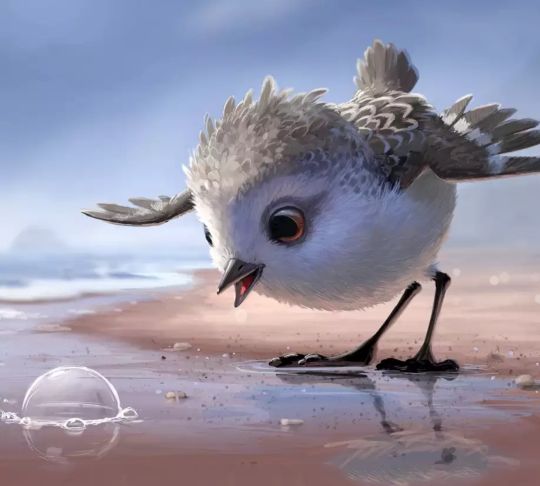 如果老师冤枉你了你会怎么做,如果老师冤枉孩子我们可以怎么做