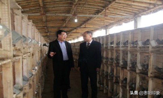 农民朋友们创业可以向中银富登村镇银行低门槛*款贷**,你知道吗?