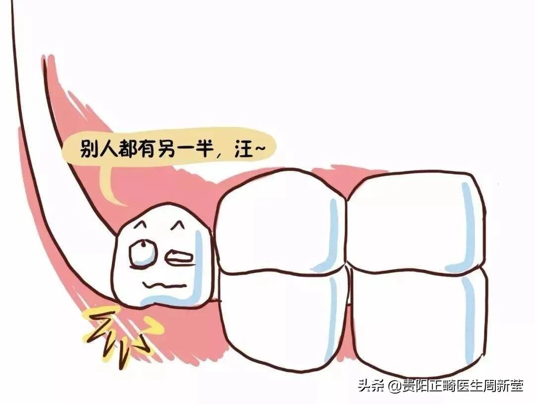 三天连续咬到嘴巴是馋了么,吃东西经常咬到肉是什么原因