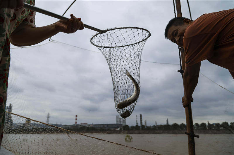 逃离废弃的化工厂,逃离废弃的化工厂攻略