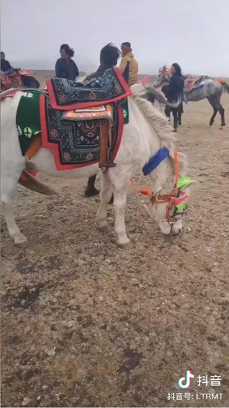 没有丁真,多少人知道理塘?丨地球知识局