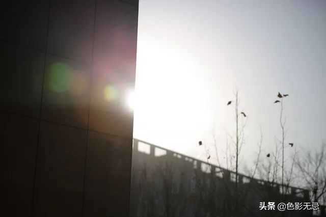 佳能85mm1.2rf对比柔焦版,佳能rf24-105mmf2.8镜头评测