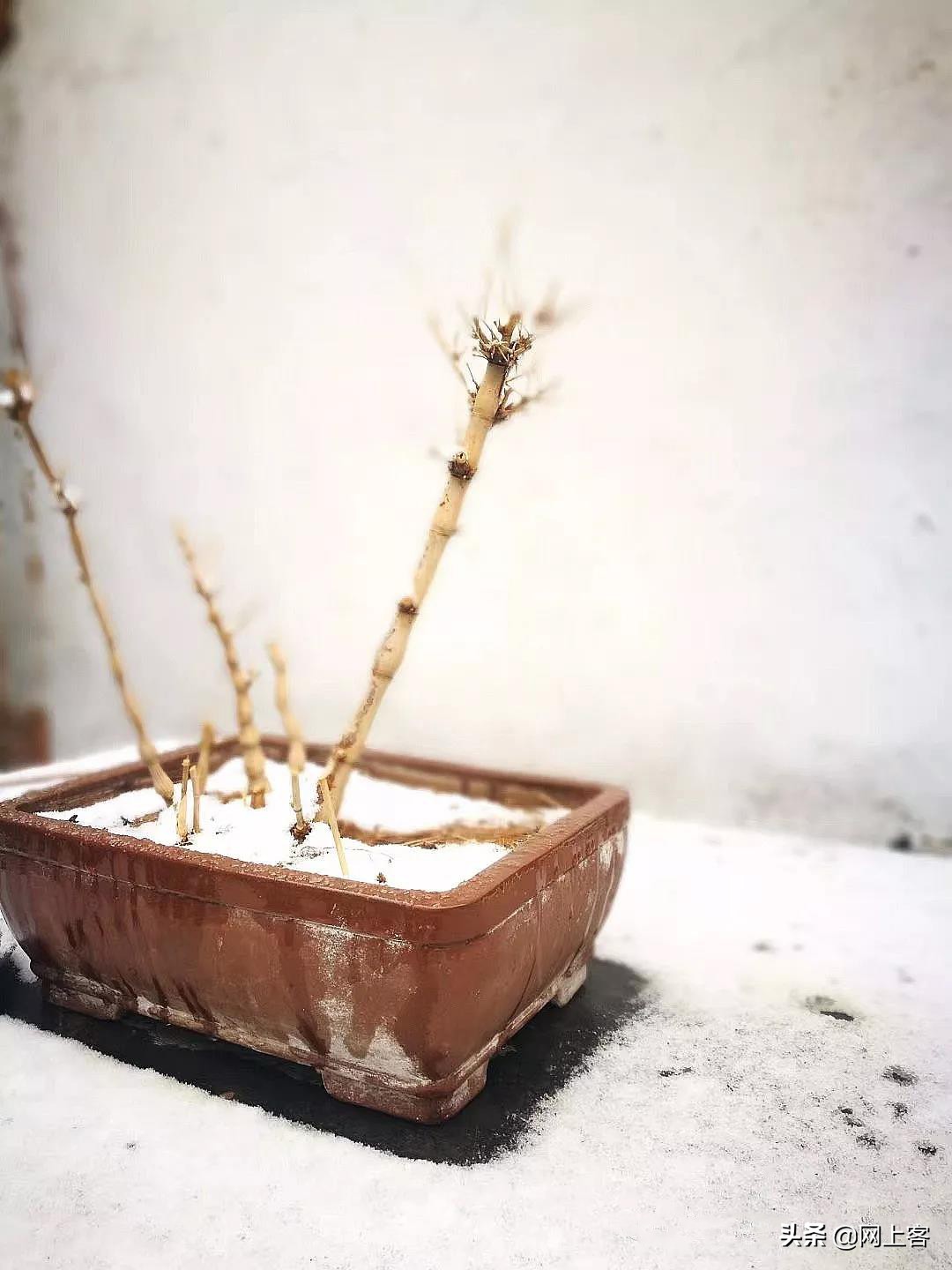 评刘宏宇近作—书房楹联（二）