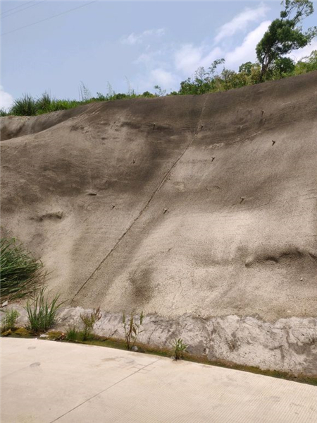 《一起来捉妖》摊位上架“非洲”小狐狸，售价800钻，没买亏了！