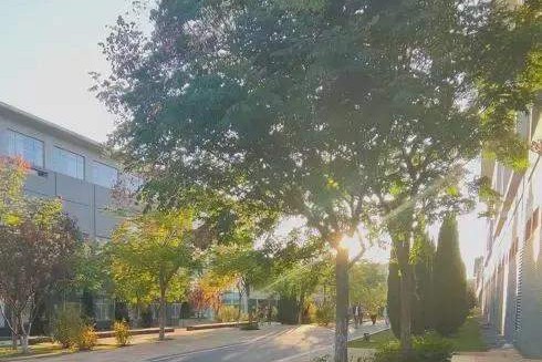 辽宁省高校（三十一）大连医科大学