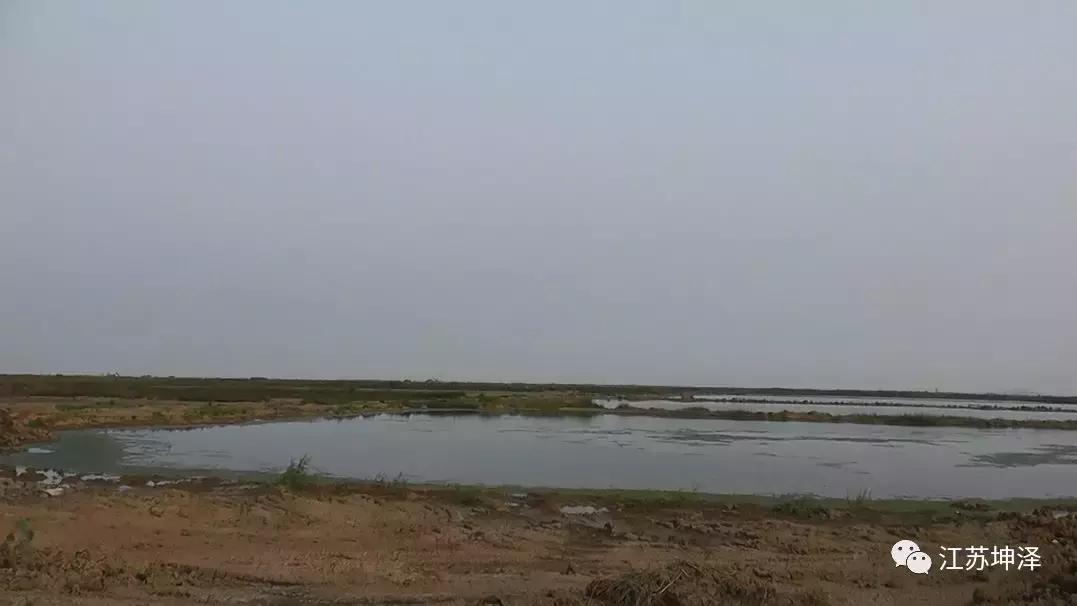 泥海中铺出“建设高地”——江苏坤泽助力徐圩新区港前三路工程