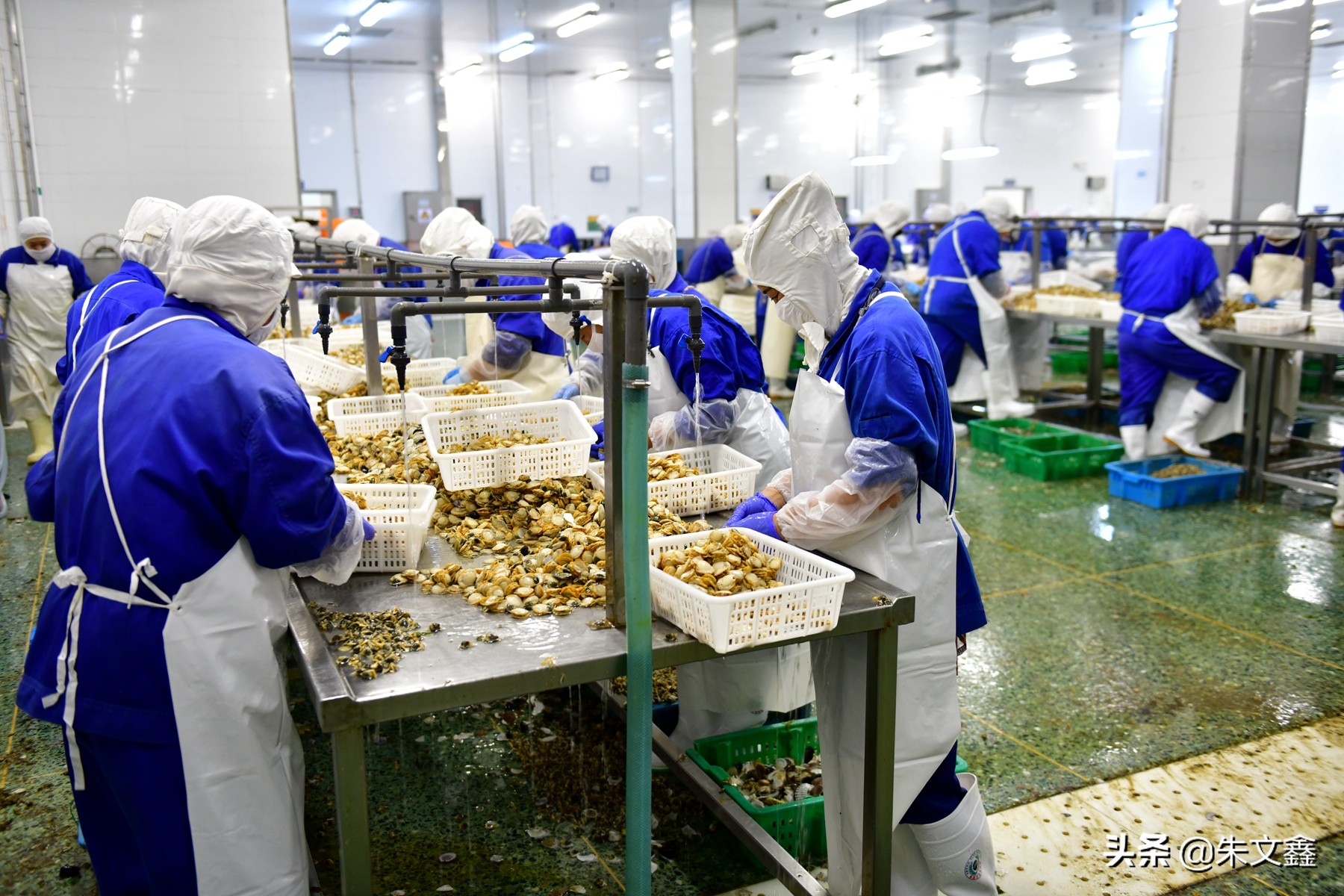 獐子岛海鲜品质是全国最好吗,獐子岛海鲜有什么