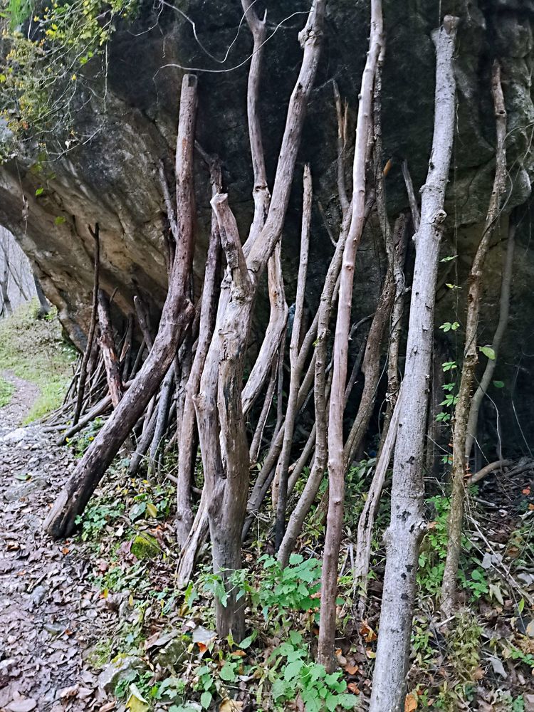 20201101惊悚之行~首阳山大坪梁单日横穿+原返