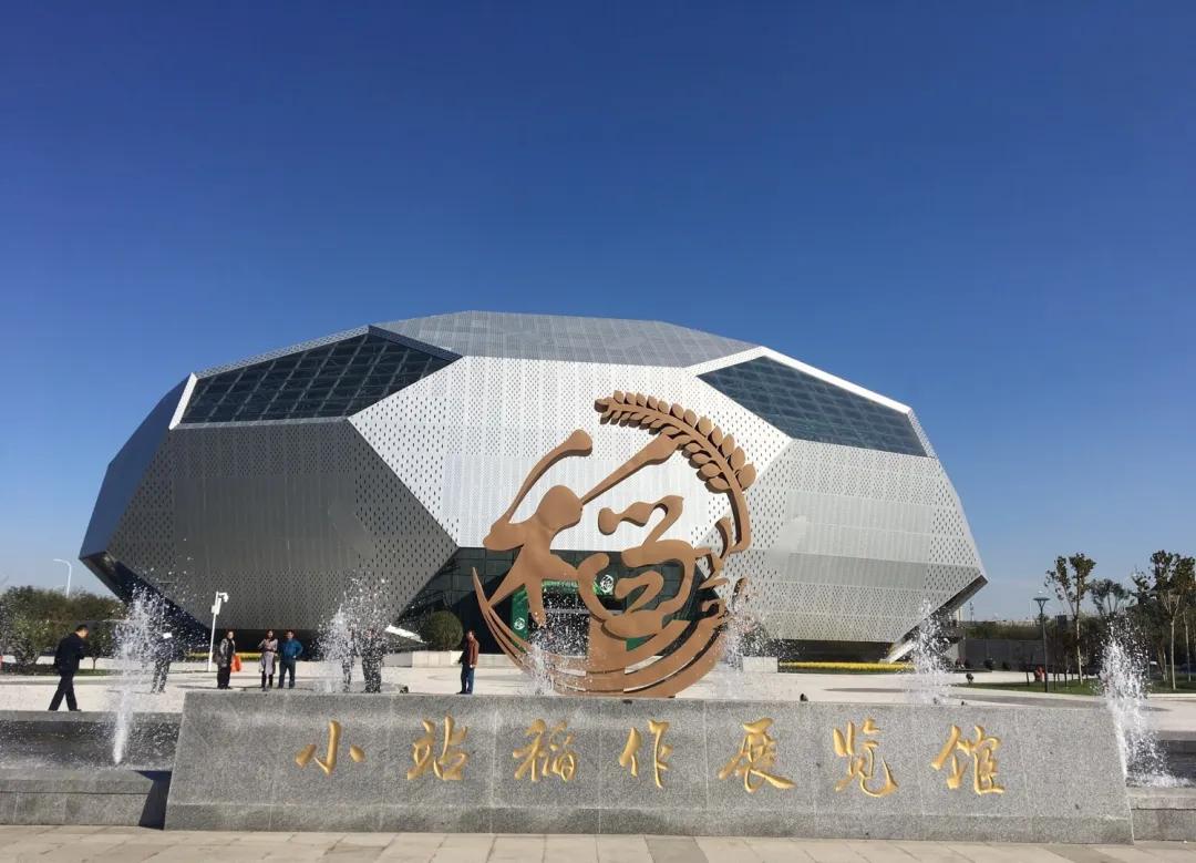 津南区打架,津南区打架视频