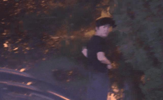 李云迪因嫖娼被警方拘留,李云迪涉嫌嫖娼被拘