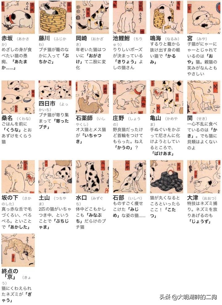 日本皇室特别喜欢给动物封官,每一个级别都比大名高