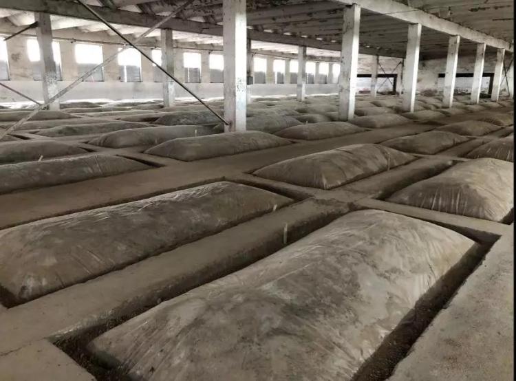 兰陵酒的品鉴,领略白酒