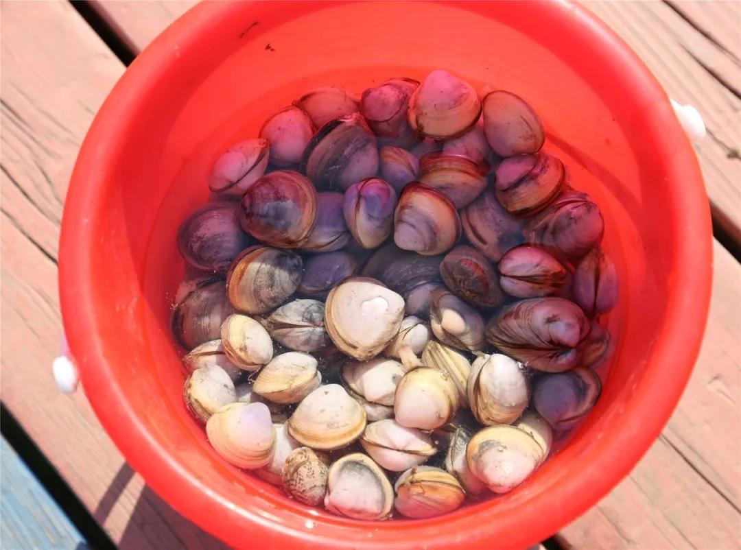 初夏去花海好玩吗,初夏去海边好玩吗