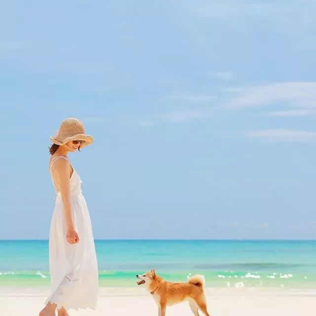 比人还会拍照的狗,简直萌炸朋友圈了