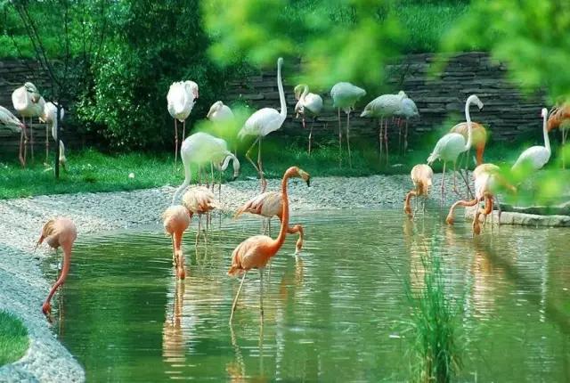 辽宁旅游景点推荐3天自由行,辽宁学生旅游景点推荐