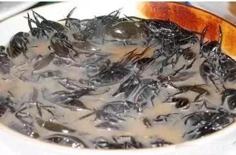 外国奇葩美食,外国最奇葩的美食