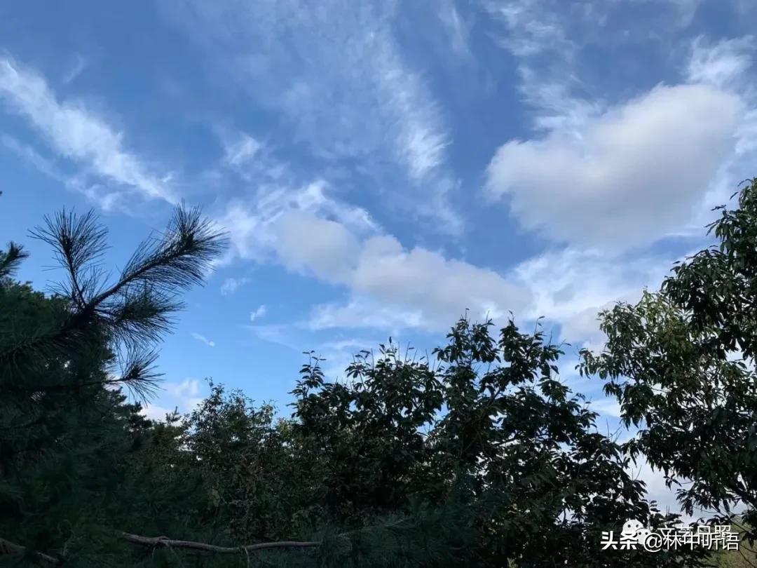 五莲县灵公山阴,“皮胡骚”!还发现了?