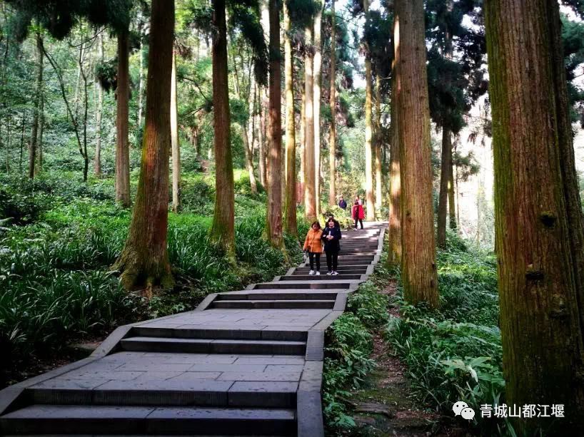 坐上公交去旅行!跟着这条101路线,带你玩遍大半个都江堰~一站一景,吃喝玩乐一网打尽!