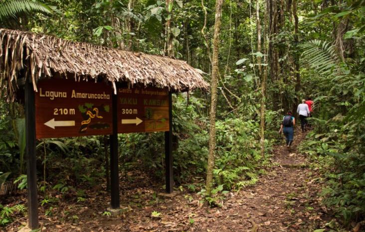 亚马逊雨林为什么称为人类禁区,人类禁区亚马逊雨林大蟒蛇