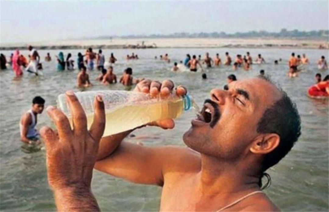 长出白斑!恒河鳖被宠到自然老死而泛滥,中国吃货能解决吗?