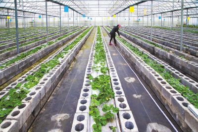 蚯蚓生态循环养殖成功案例,陆基设施循环生态养殖技术要点