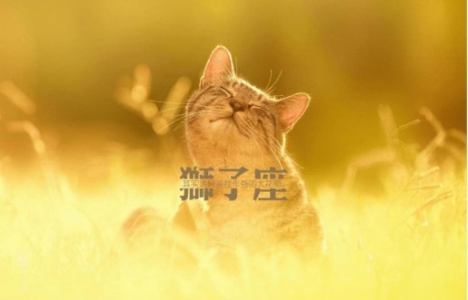 十二星座之狮子座之歌,十二星座之狮子座黑化前后