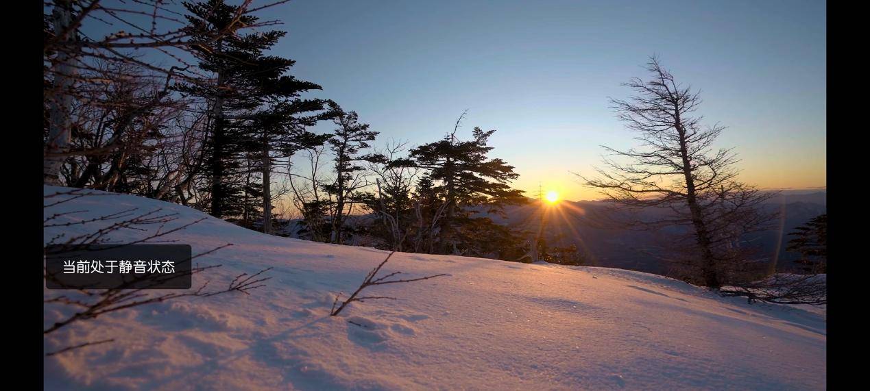 一加为我们带来的惊喜,一加手机十周年庆活动