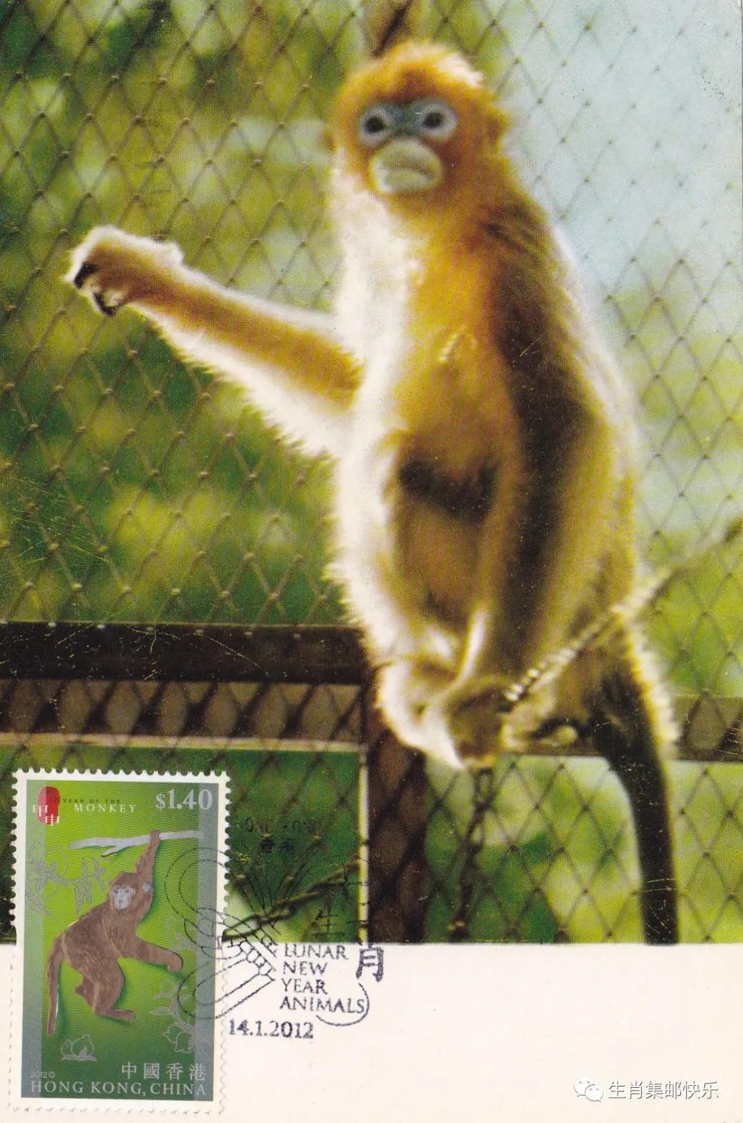 中国传统文化中生肖的寓意,中国传统文化之生肖文化图片2018