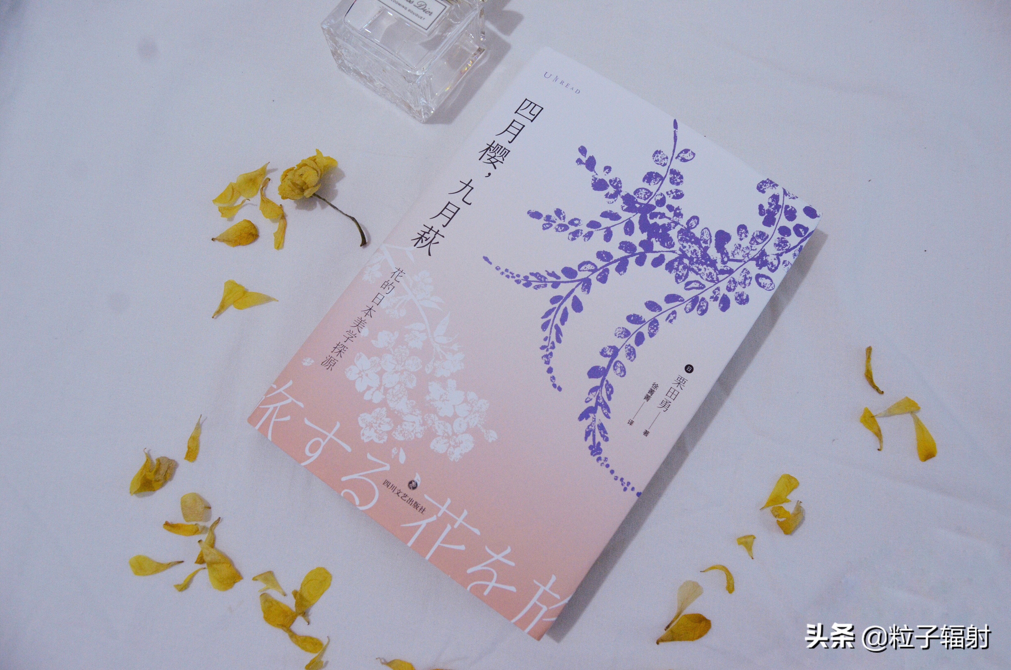 写给春天的告白情书,写一封告白的情书