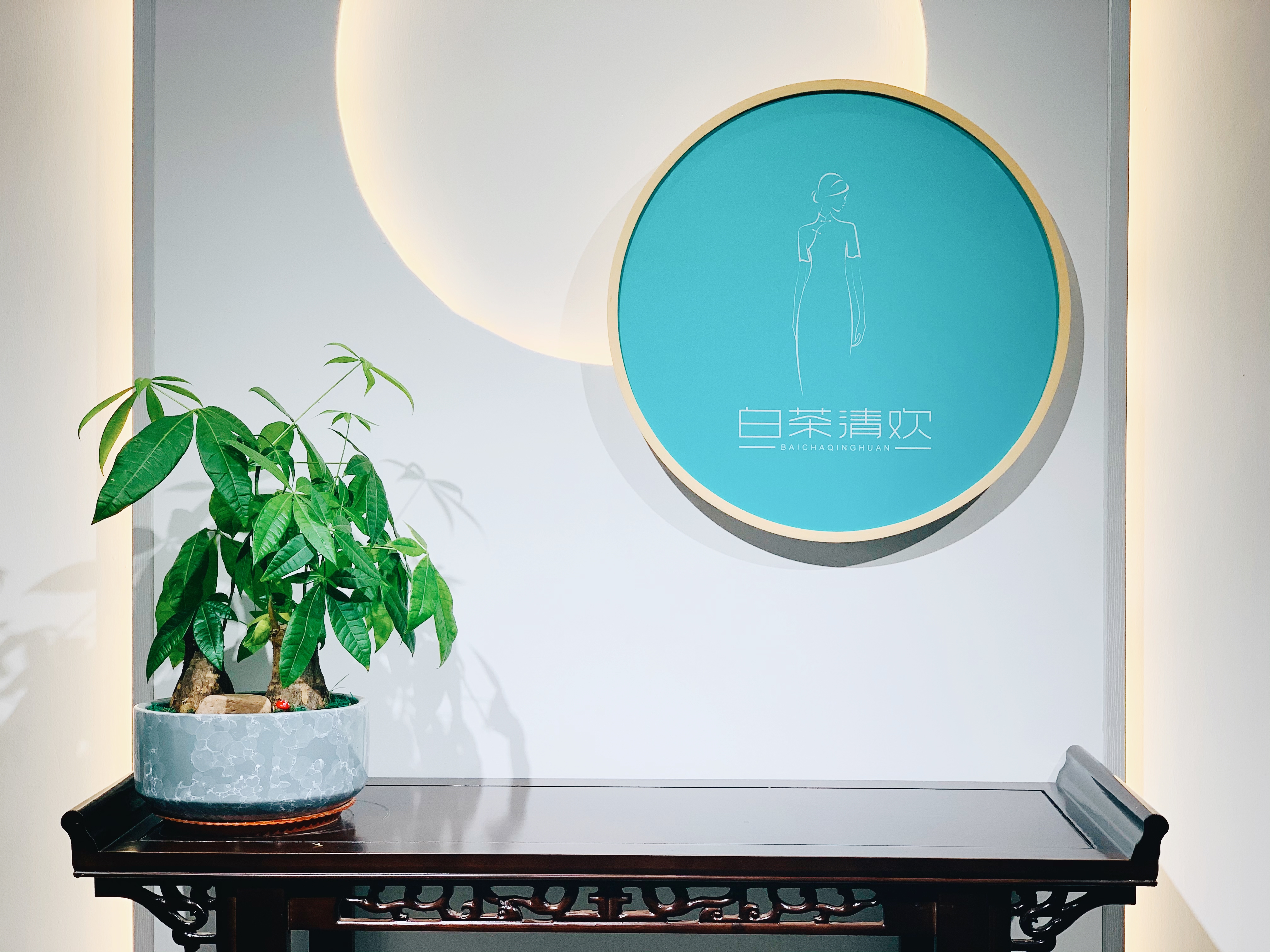 白茶清欢教程,白茶清欢的制作方法