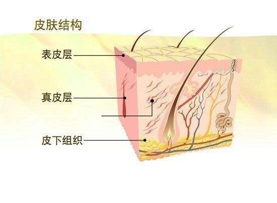 健身之后皮肤出现纹路怎么回事,健身皮肤出现撕裂纹怎么办