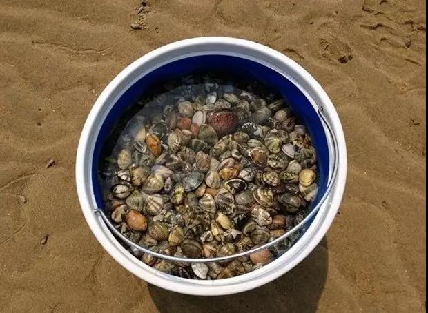 收藏！中秋有大潮来看大连最全赶海地图